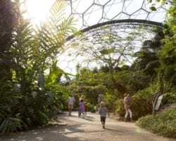 The Eden Project