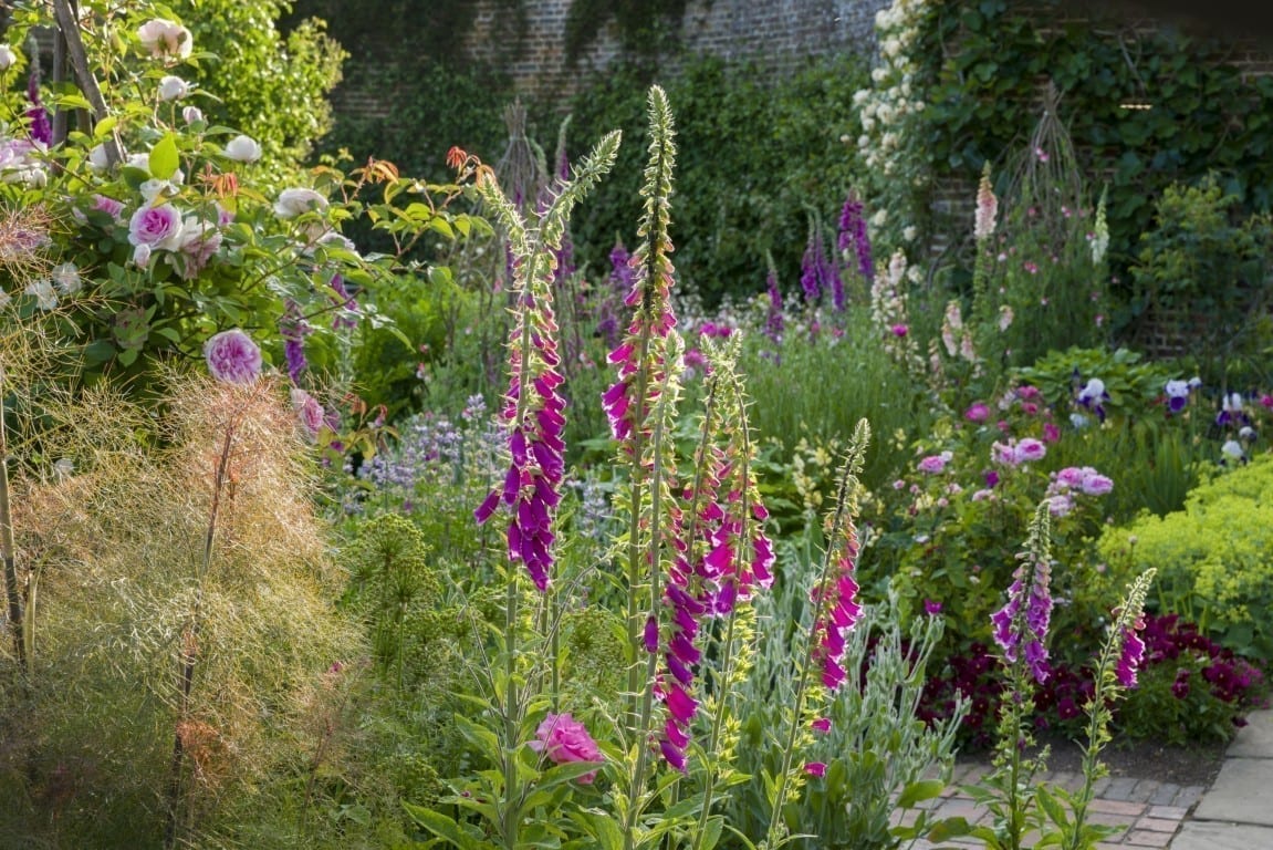 Copyright NT - Andrew Butler Sissinghurst Castle Gardens
