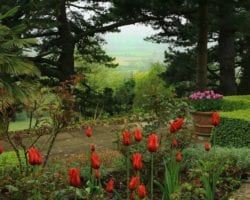 Kiftsgate_Court_Gardens_-_photo_by_Lysikov_Andrey (Middel) Kiftsgate Court Gardens