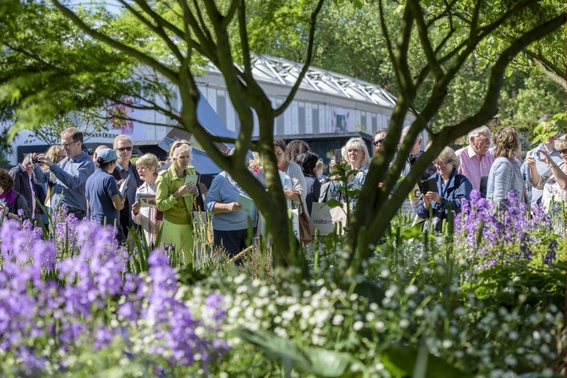 Visitors view the Morgan Stanley Garden for Great Ormond Street Hospital Garden at the RHS Chelsea Flower Show 2016 RHS Chelsea Flower Show