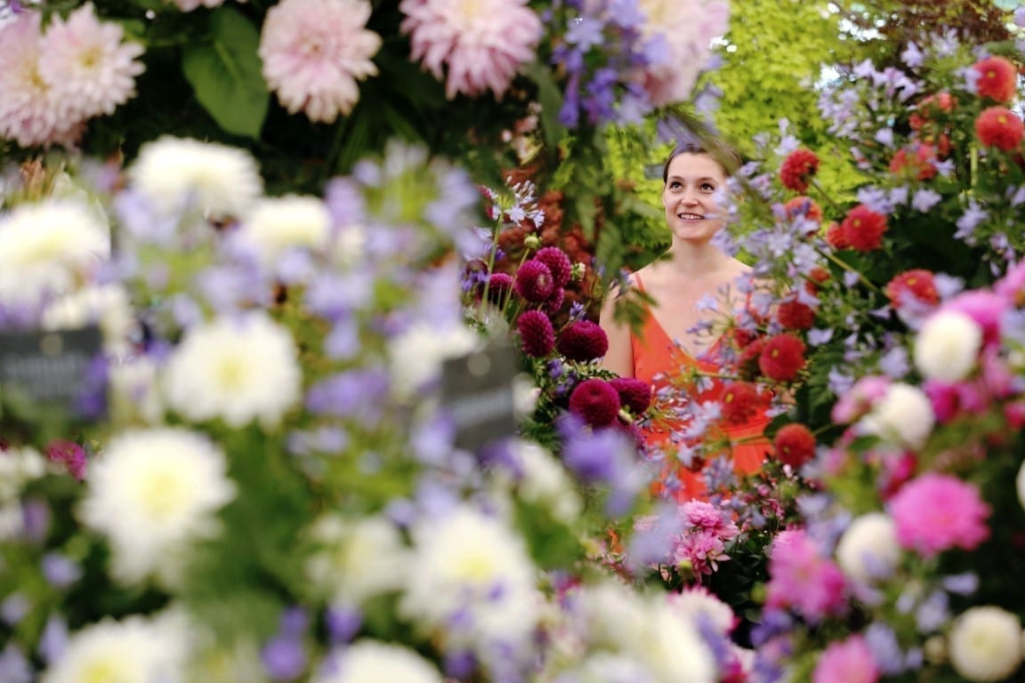 Visitor Robyn Mortara views dahlias on the National Dahlia Collection exhibition during the RHS Hampton Court Palace Garden Festival 2019 in south west London Tuesday July 2, 2019. The flower show has rebranded as a festival to better reflect its characte RHS Hampton Court Palace Garden Festival
