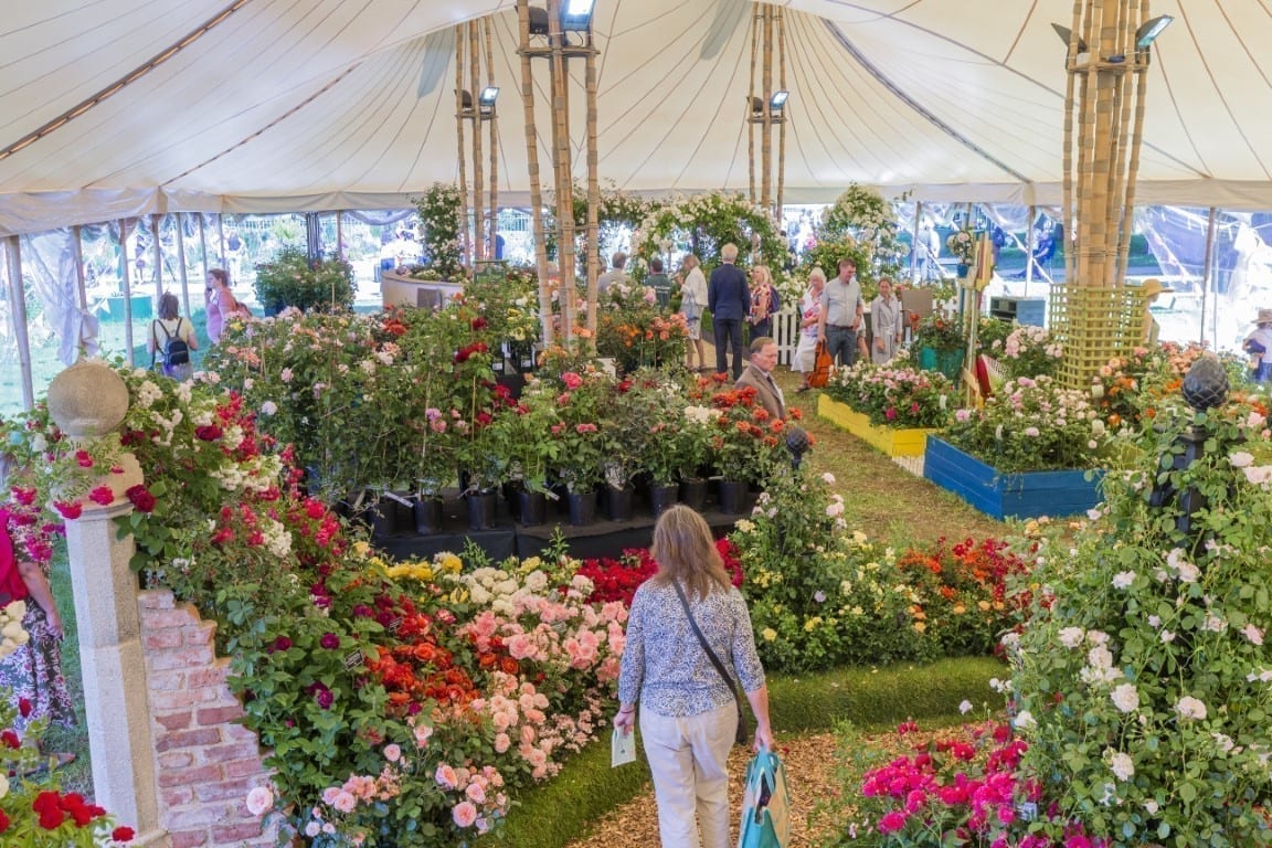 Festival of Roses at the RHS Hampton Court Palace Garden Festival 2019. RHS Hampton Court Palace Garden Festival