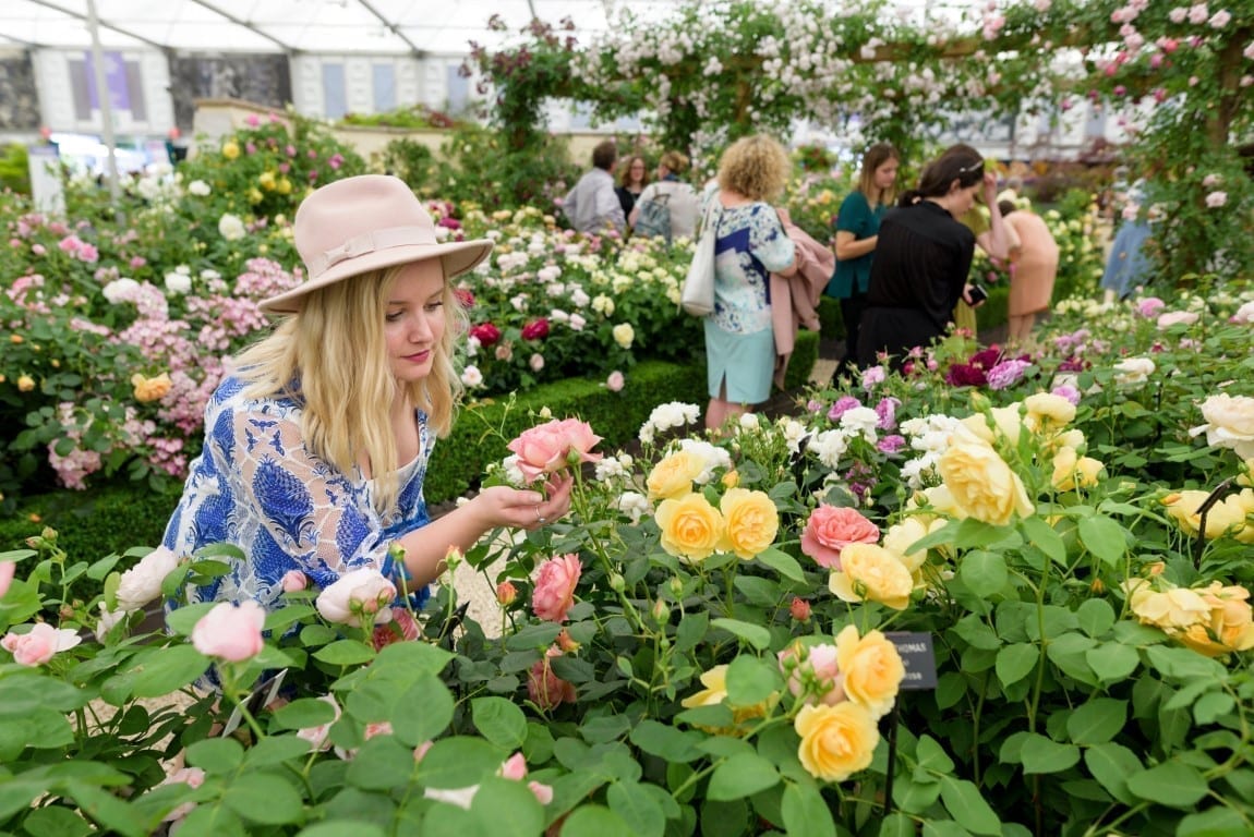 Visitors inside the Great Pavilion at RHS Chelsea Flower Show 2017. RHS Chelsea Flower Show