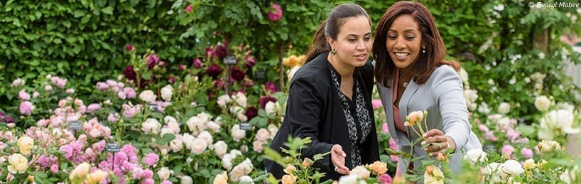 cfs RHS Chelsea Flower Show