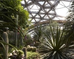 ©Hufton & Crow The Eden Project