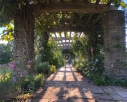 Hestercombe-Gardens-reopening_IMG_2796 Hestercombe Gardens