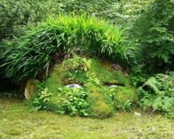 Lost Gardens of Heligan