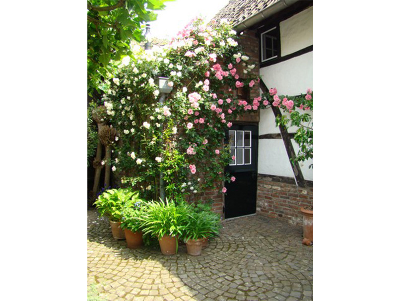 Foto-3-Carishof De Carishof