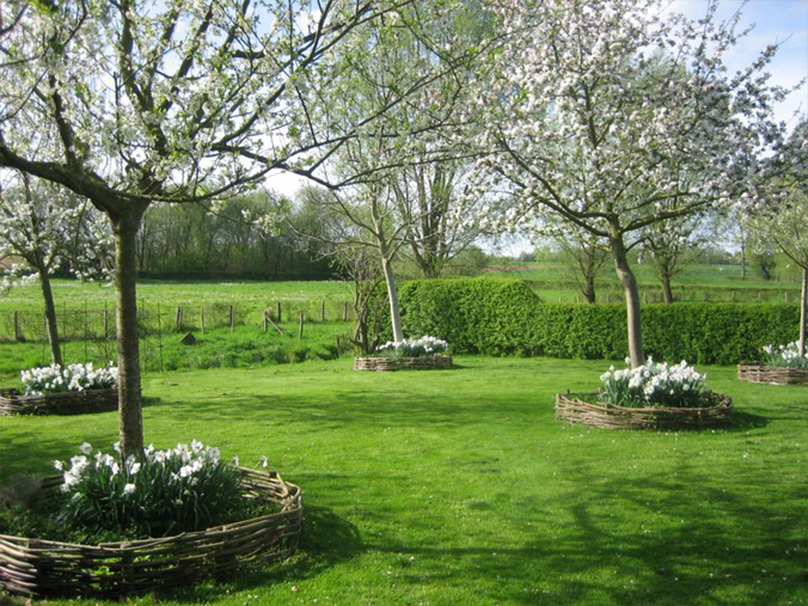 Foto-5-Carishof De Carishof