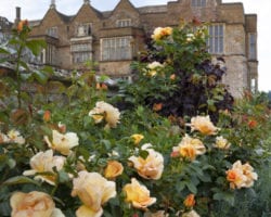 Broughton Castle, Oxfordshire Broughton Castle Gardens