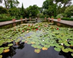 Italian Garden - Looking North over Lillies Borde Hill Garden