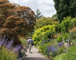 Paradise Walk -Borde Hill 3 Aug 2015_6647 Borde Hill Garden