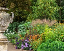 bg_4_-_autumn_border Oxford Botanic Garden & Aboretum