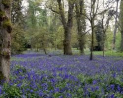 dsc_0197 Oxford Botanic Garden & Aboretum