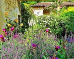 Casita+from+Great+Terrace Iford Manor Gardens
