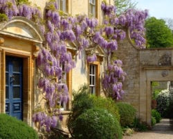 (c)+Rob+Coles+(5) Iford Manor Gardens