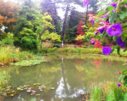 04-Tuinreis-Denemarken Botanische Tuin Lund