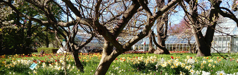 02-Tuinreis-Denemarken