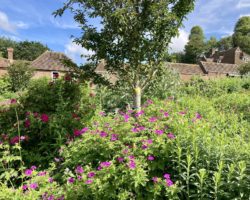 Leeds Castle Gardens - Kent Leeds Castle Gardens - Kent