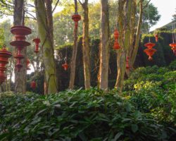 Jardins D'Etretat Jardins D'Etretat